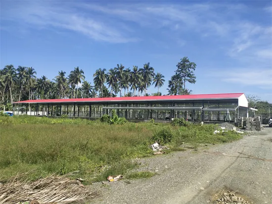 Hot Sale Complete Controlled Prefabricated Chicken House with Full Set Poultry Equipment